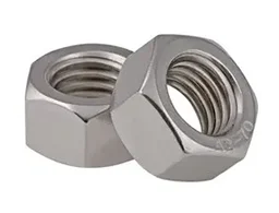 Stainless Steel 310_310S_310H Nuts